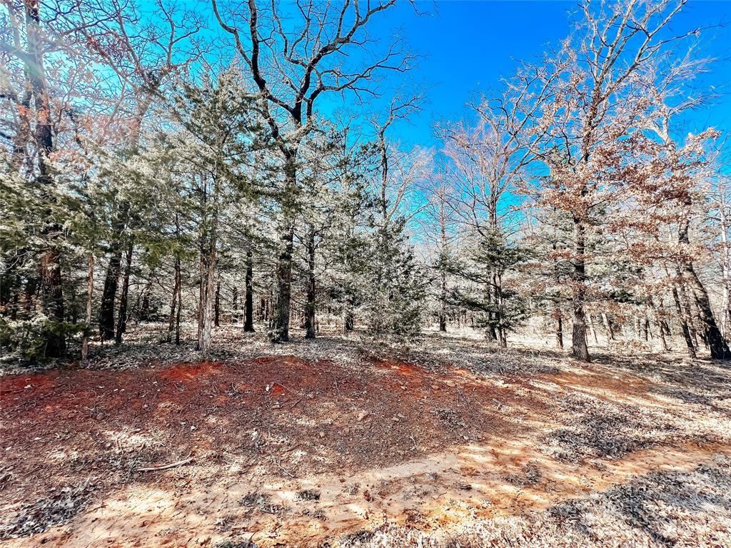 Castle Pines Add Phse 1 - Land