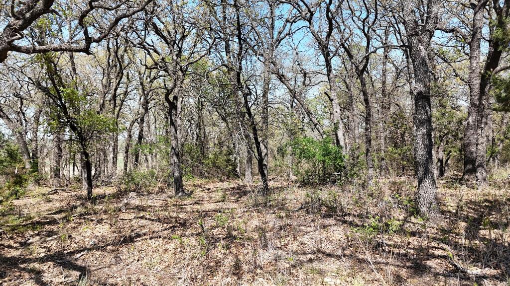 The Ranches At - Land