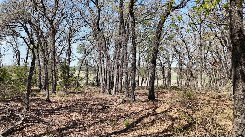 280 Private Road 2162