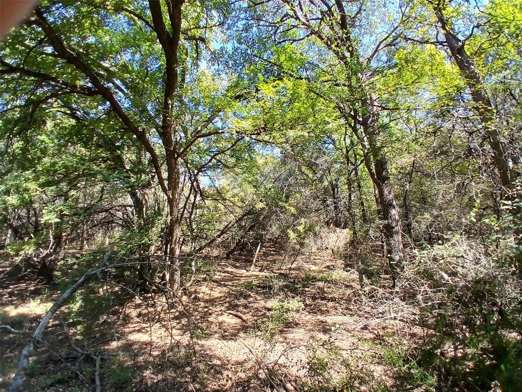 TBD Cedar Elm Drive