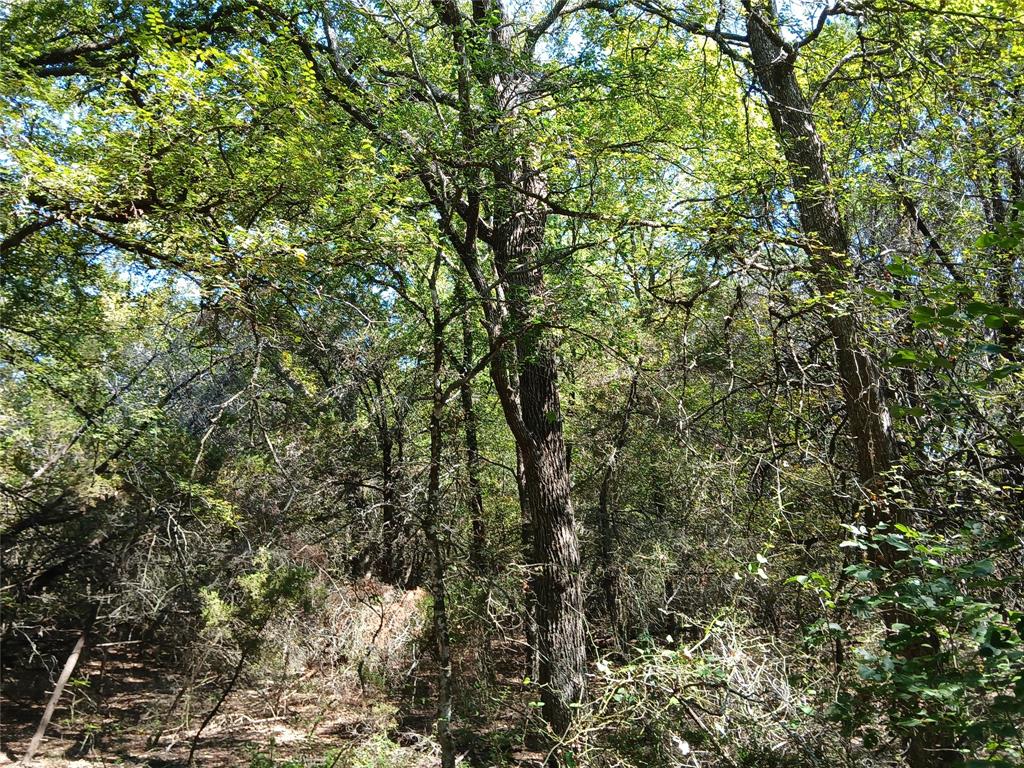 TBD Cedar Elm Drive