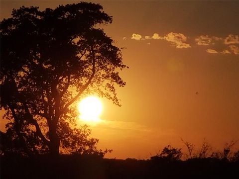 TBD FM 317 Chandler TX 75758