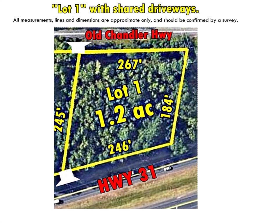 16393 State Highway 31
