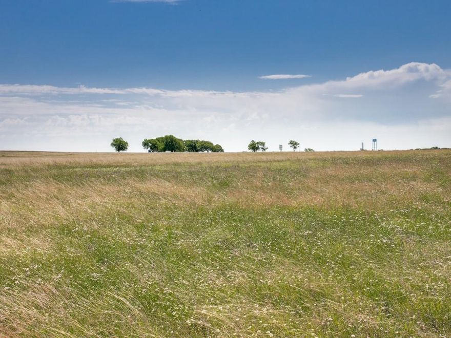 Look no further...come build your dream home surrounded by the beauty of nature! Hill Creek Ranch is the perfect spot to enjoy peaceful country living while being close to city conveniences. Approximately 1 mile to I-35 E and I-35W for easy commuting.  Just minutes from Historic Hillsboro for restaurants, shopping and entertainment. One of the larger lots in the community, this 3-acre homesite is situated in a quiet cul-de-sac with beautiful views of mature trees and a nearby pond!  Pride of ownership.  Many great local builders to choose from. Electricity already brought to the property. No city taxes.