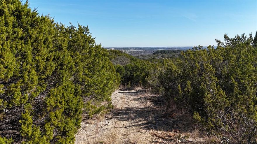 If you are looking for the perfect blend of hunting retreat, recreational escape, and future homesite, this exceptional 140.848-acre lightly restricted property is it. Located in the highly desired County Road 156 area of Bluff Dale. Heavily treed with native habitat, this land offers outstanding hunting with abundant wildlife throughout the property. Whether you’re chasing whitetail deer, turkey or pigs, weekend trail rides, or simply soaking in the peace and privacy, this tract delivers the ultimate outdoor lifestyle. New slick wire fencing and cross fencing provides added value and functionality. The 2 parcels include 2 stock ponds. Bring your cows and horses! With multiple potential building sites, you can create your dream home, barn dominium, or weekend getaway surrounded by mature trees. 15 minutes to Stephenville and 15 minutes to Granbury makes this land convenient to nearby amenities. If you’ve been looking for a versatile ranch property that checks every box this one is ready for you. 2 Parcels also listed separately MLS numbers 21188375 and 21185347