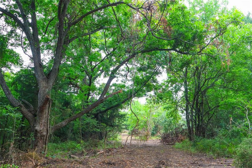 Tract #3 of 8 – Prime Country Living Near Bois d’Arc Lake – Build-Ready Lots Available! Owner Financing Available. Discover your slice of Texas paradise just 8 miles from the shores of Bois d’Arc Lake and 10 miles from the newly constructed Lake Ralph Hall. Use your current home equity to purchase this land. See agent for more info.  Nestled south of Highway 82 with a Windom address, these serene parcels offer the perfect blend of nature, convenience, and opportunity. Property Highlights: - Peaceful Setting: Located at the end of a quiet, tree-lined county road with beautifully maintained surroundings - Natural Beauty: Each lot features mature native trees, walking trails, and scenic seasonal creeks; select tracts include private ponds (Tract 3 has a pond)- Ideal Topography: Flat, dry, and buildable land — ready for your dream home, cabin, or investment project - Easy Access: All parcels boast easy access on a newly built private road - Utilities Ready: Electricity is available on every lot - Water Access: water main by Bois D’Arc MUD is established - Water Update: Seller is actively funding the final line upgrade and extension to accommodate all new tracts. Whether you're seeking a peaceful retreat, a weekend getaway, or a smart land investment near Texas’s newest recreational lakes, these parcels check every box. Act now to secure your lot before prices rise with utility completion!.  Inquiries, call Listing Agent. Use for exact address:  725 County Road 2997 Windom, TX 75492