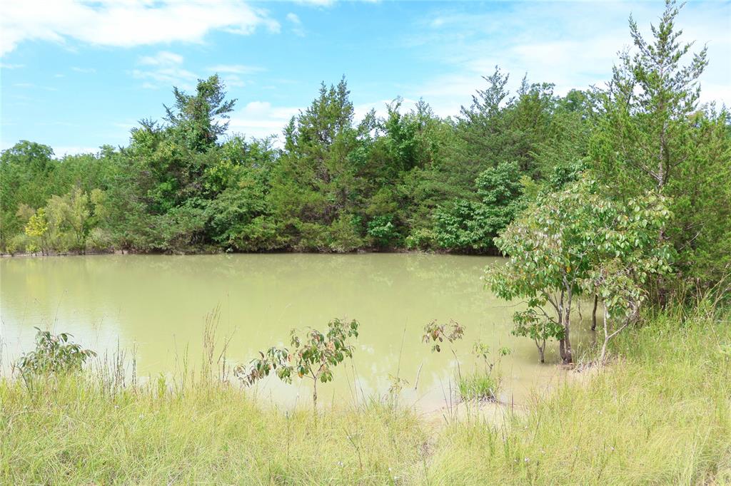 HONEY GROVE RURAL NORTH - Land