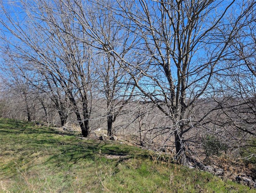 Great opportunity to own land in the historic Chamberlain Arlington Heights subdivision.