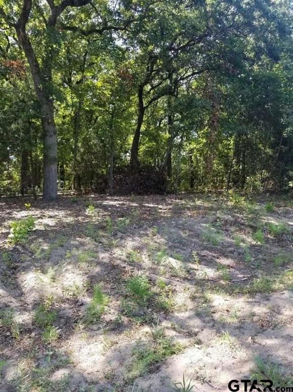 Hickory Hills II - Land