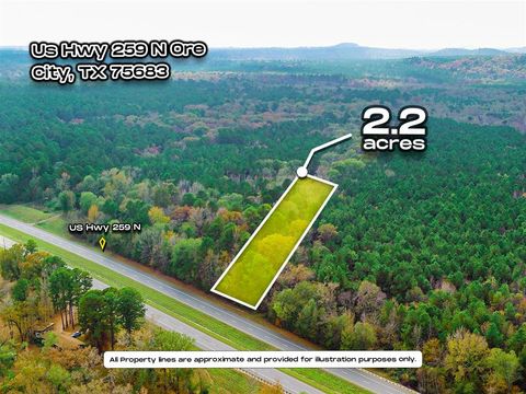 0 Us-259 N Diana TX 75640