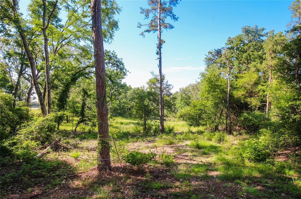 M Cortinas - Residential