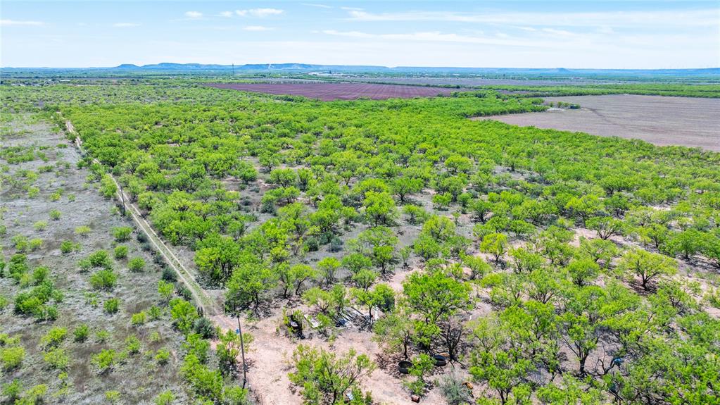 SC FERRELL,ANDERSON,THOMPSON(DYESS AREA) - Land