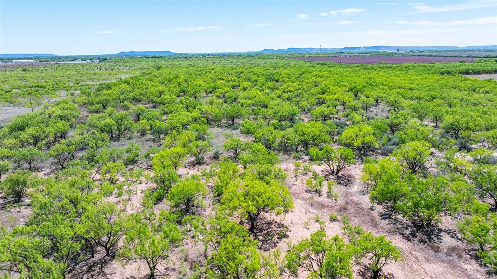 SC FERRELL,ANDERSON,THOMPSON(DYESS AREA) - Land