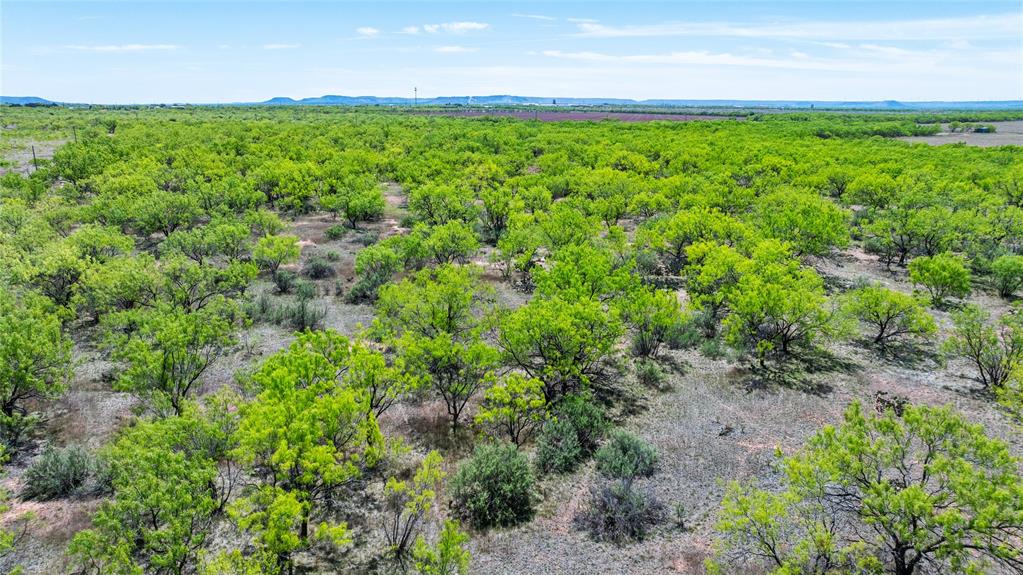 SC FERRELL,ANDERSON,THOMPSON(DYESS AREA) - Land