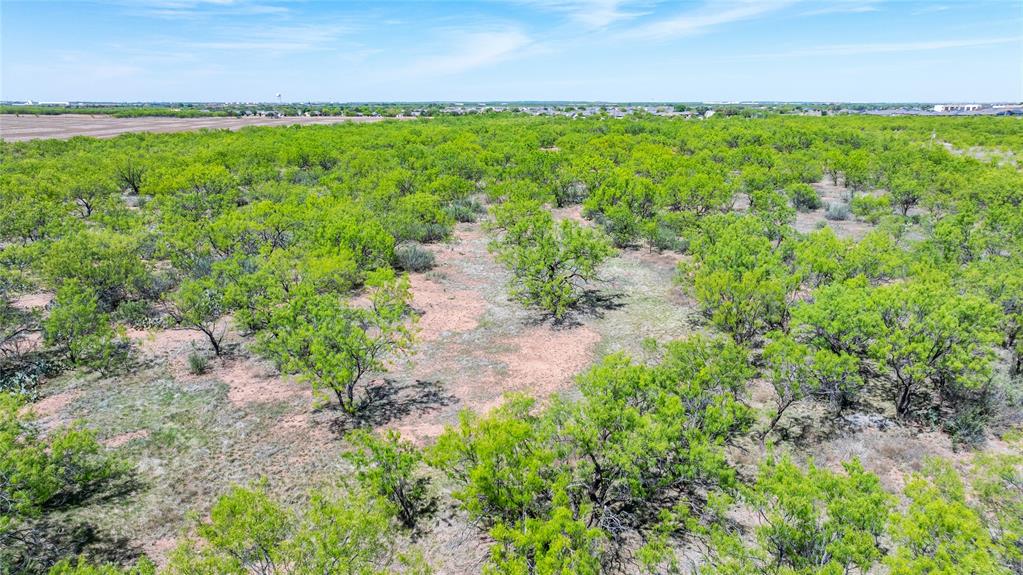 SC FERRELL,ANDERSON,THOMPSON(DYESS AREA) - Land