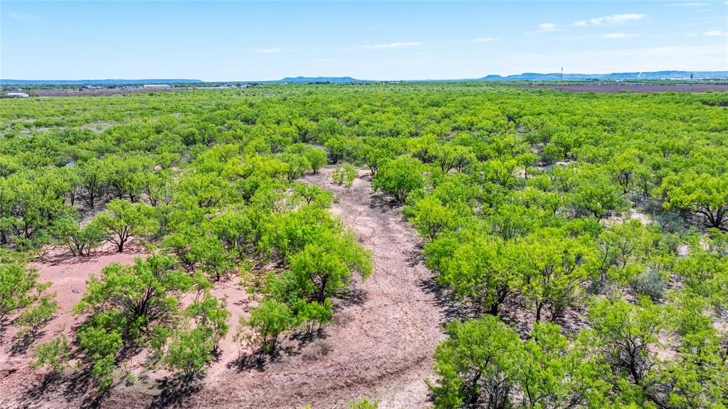 SC FERRELL,ANDERSON,THOMPSON(DYESS AREA) - Land