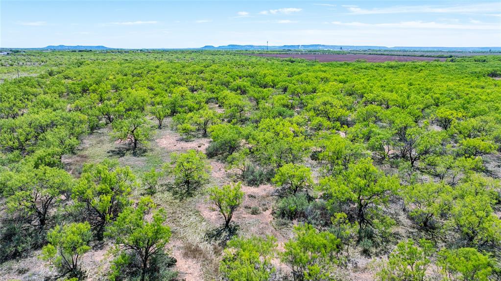SC FERRELL,ANDERSON,THOMPSON(DYESS AREA) - Land