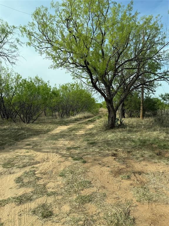 SC FERRELL,ANDERSON,THOMPSON(DYESS AREA) - Land