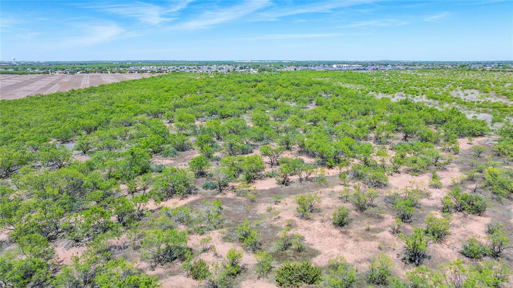 SC FERRELL,ANDERSON,THOMPSON(DYESS AREA) - Land