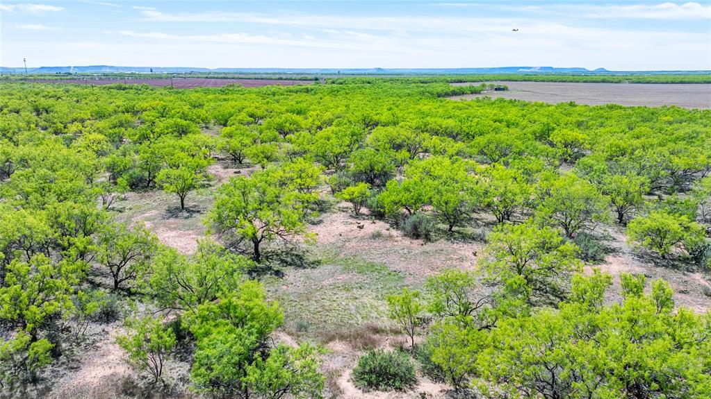 SC FERRELL,ANDERSON,THOMPSON(DYESS AREA) - Land