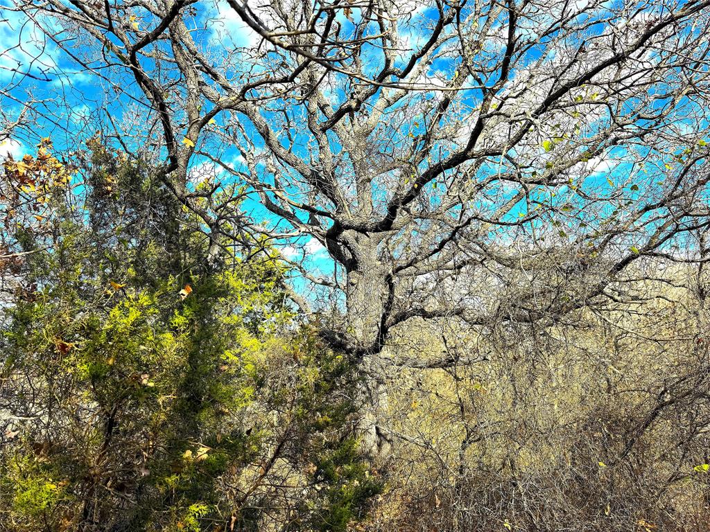 TBD Turpin Lake Road