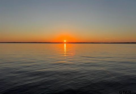 Photo of 17144 Lakeview Drive, Flint, TX 75762 (MLS # 21212128)