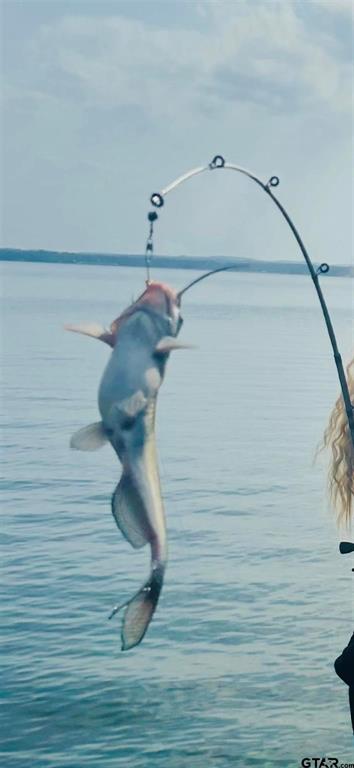 Pine Trail Shores - Residential