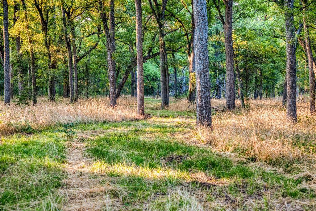 5519 County Road 222 Road