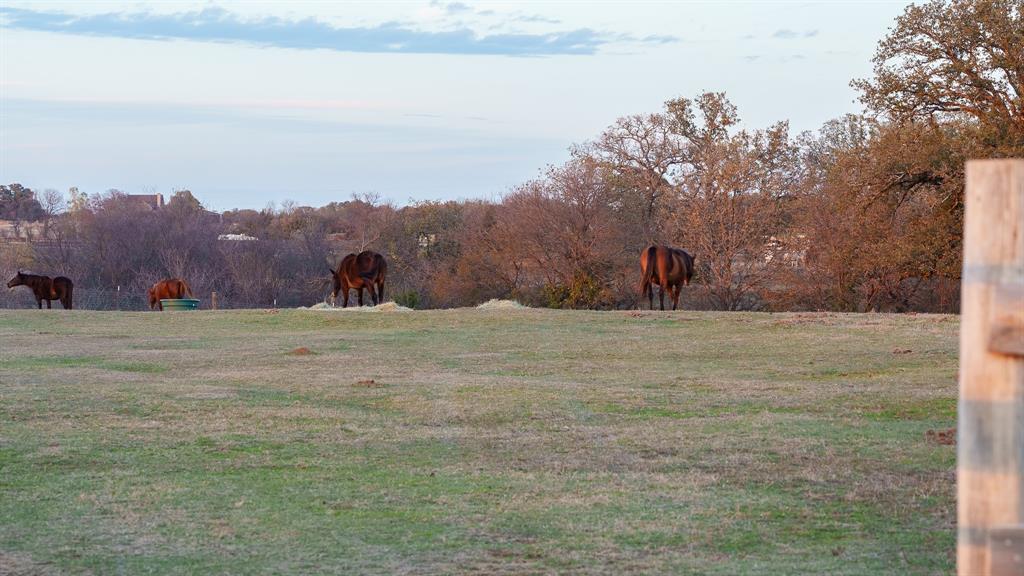 McKinsey William - Land