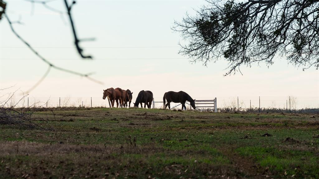 McKinsey William - Land