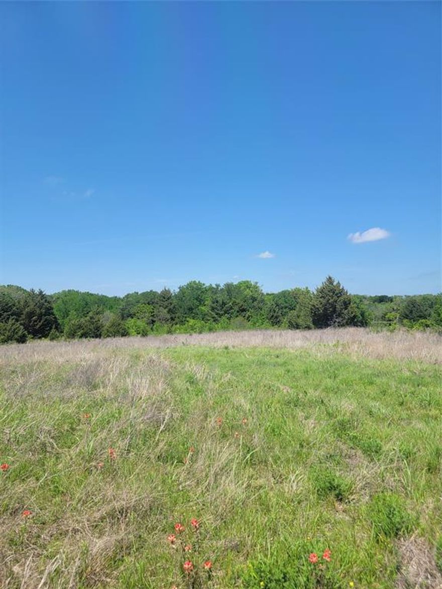 Gorgeous flat, cleared lot for sale.  Outside city limits and can develop in so many different directions!  Great frontage and convenience for whatever your investment or business needs are.  According to tax statement, zoned commercial. Rural Water Water well super close and overhead utilities onsite.  Perfect location for storage unit, small industrial park, church or retail.  Development coming just east of it in Sherman.  think ahead and buy while its affordable.