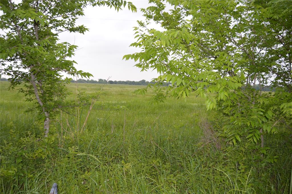 TBD Lot 2 RS County Road 1520