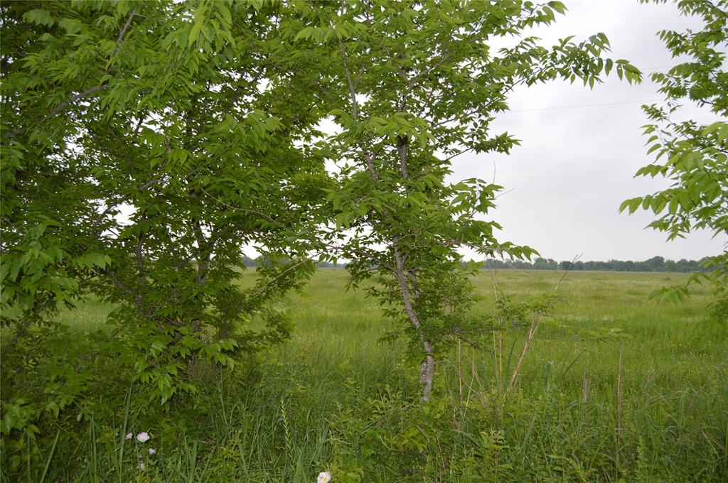 TBD Lot 2 RS County Road 1520