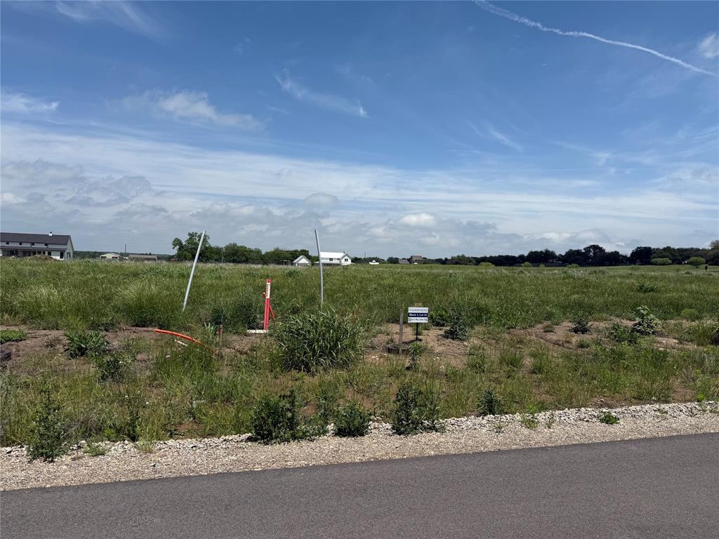 Wilson Bend Phase 1 - Land