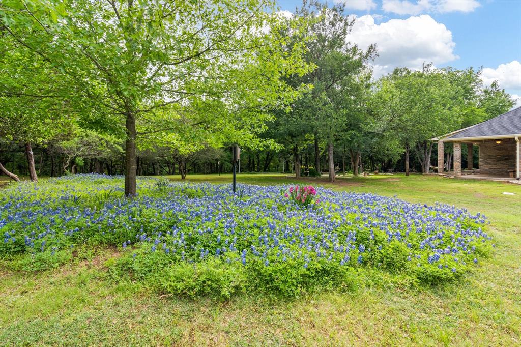 White Bluff - Residential