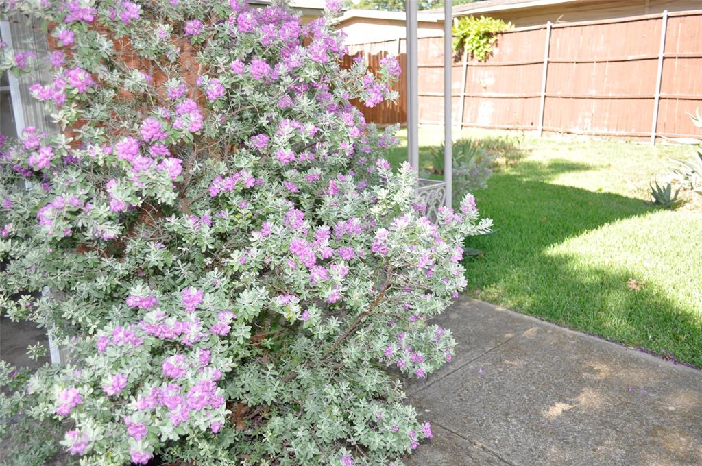 Richardson Heights 06 - Residential