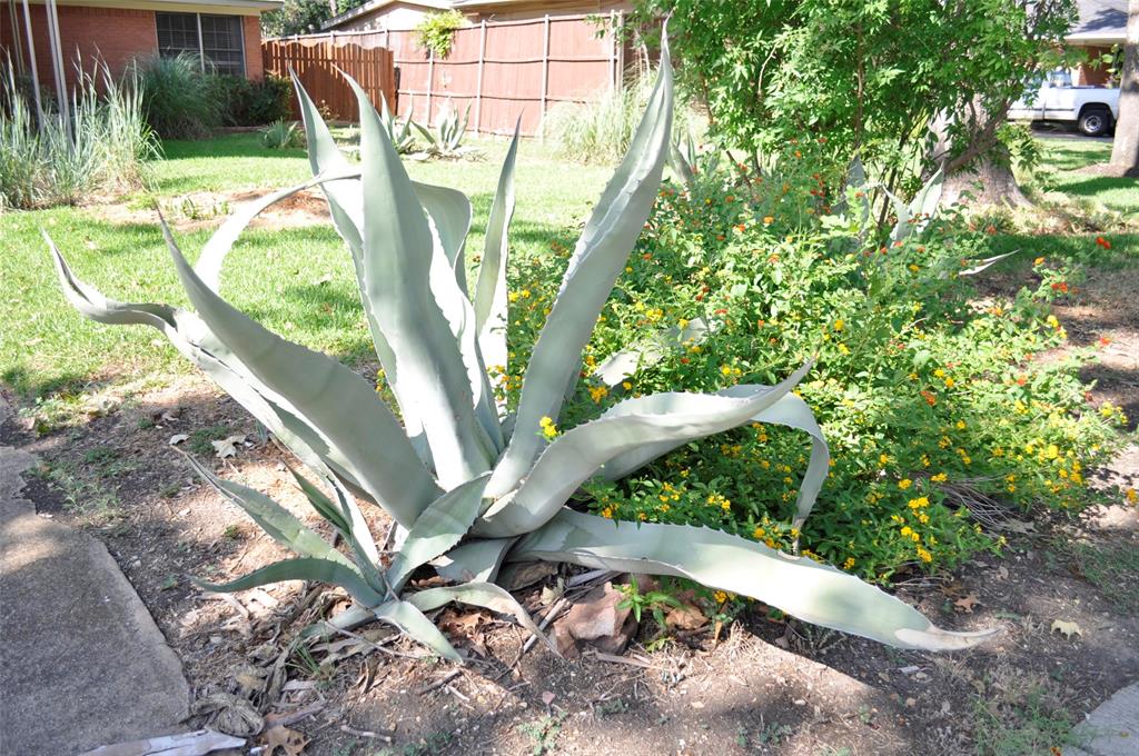 Richardson Heights 06 - Residential