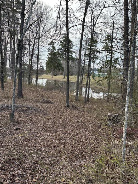 Shreveport, Louisiana 71119, United States, 4 Bedrooms Bedrooms, ,2 BathroomsBathrooms,Residential,Active,9196