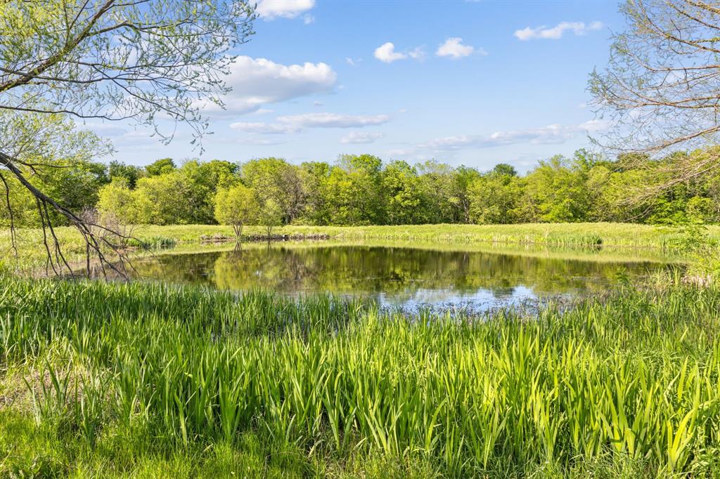 Bluebonnet Ridge - Residential
