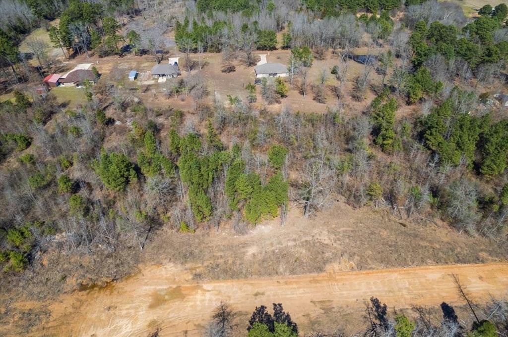 Piney Woods Estates - Land