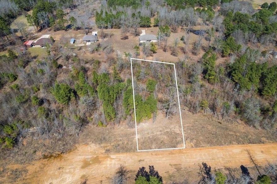 Welcome to Piney Woods Estates! Newest subdivision only minutes from Northeast Texas Community College & Chapel Hill ISD. Be the first to delight from the perfect opportunity to build your dream home on ready to build 1 acre lot! Offering plenty of room to create your ideal homestead and enjoy the beauty of country living. The impossible dream... fulfilled!