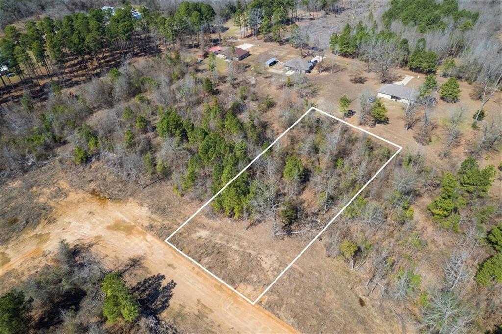 Piney Woods Estates - Land