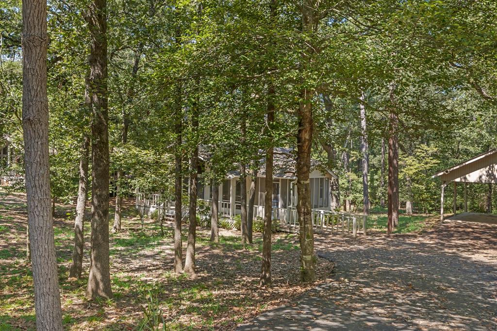 Holly Lake Ranch - Residential