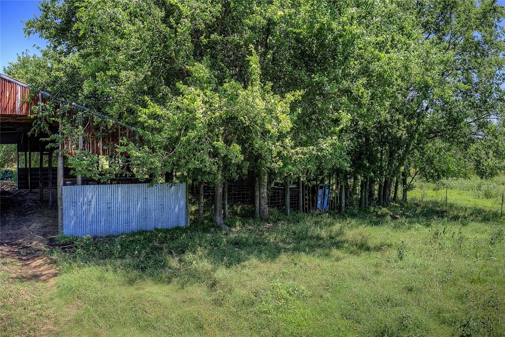 TBD Farm Road 3236