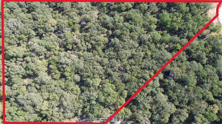 Welcome to Bella Oaks! Bella Oaks is located on the outside of Granbury, close to all the amenities your heart desires and the seclusion of being nestled in the country.  This beautiful homesite is located in the heart of Bella Oaks with several shade trees for privacy and shade.  Bella Oaks is a short drive from Hwy 377 and only 20 minutes from shopping, dining, and Lake Granbury. 606 Dana Court is a stunning 2.309-acre residential lot located on a quiet private cul-de-sac of the prestigious Bella Oaks subdivision. This expansive lot offers the perfect setting for creating your dream home, with plenty of room for outdoor living, recreation, and privacy. The lot is heavily wooded, making it ideal for those who value privacy and wish to maintain the natural beauty of their property. Enjoy the tranquility and charm of this sought-after area, where you can build a custom home tailored to your vision while being part of a friendly and welcoming community. Give us a call to find out more about 606 Dana Court and other lots available at the beautiful Bella Oaks!