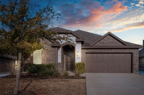205 Old Settlers Trail Waxahachie TX 75167