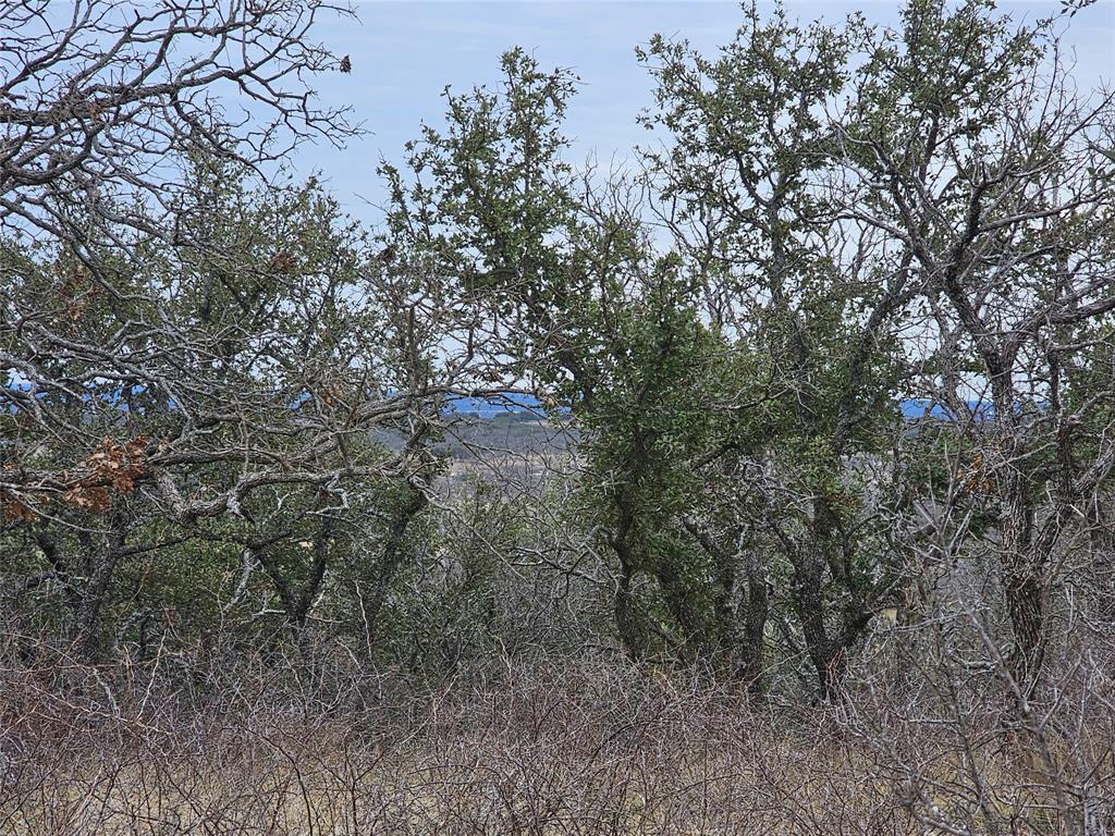 Panther Hill Estates - Land