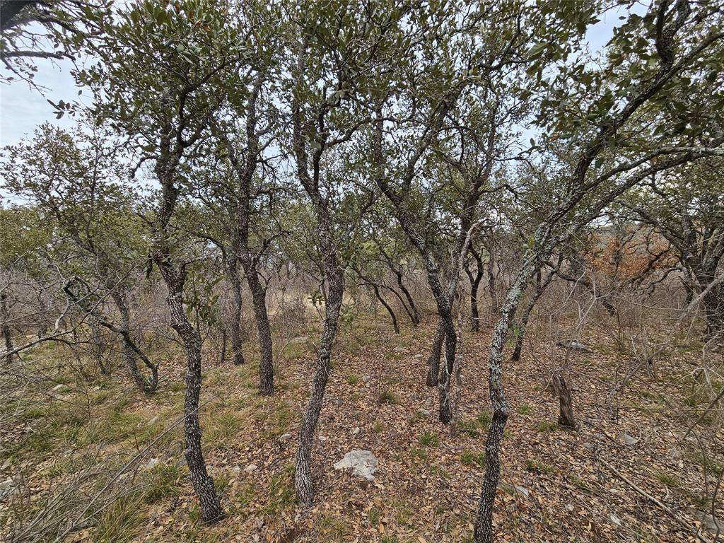 Panther Hill Estates - Land