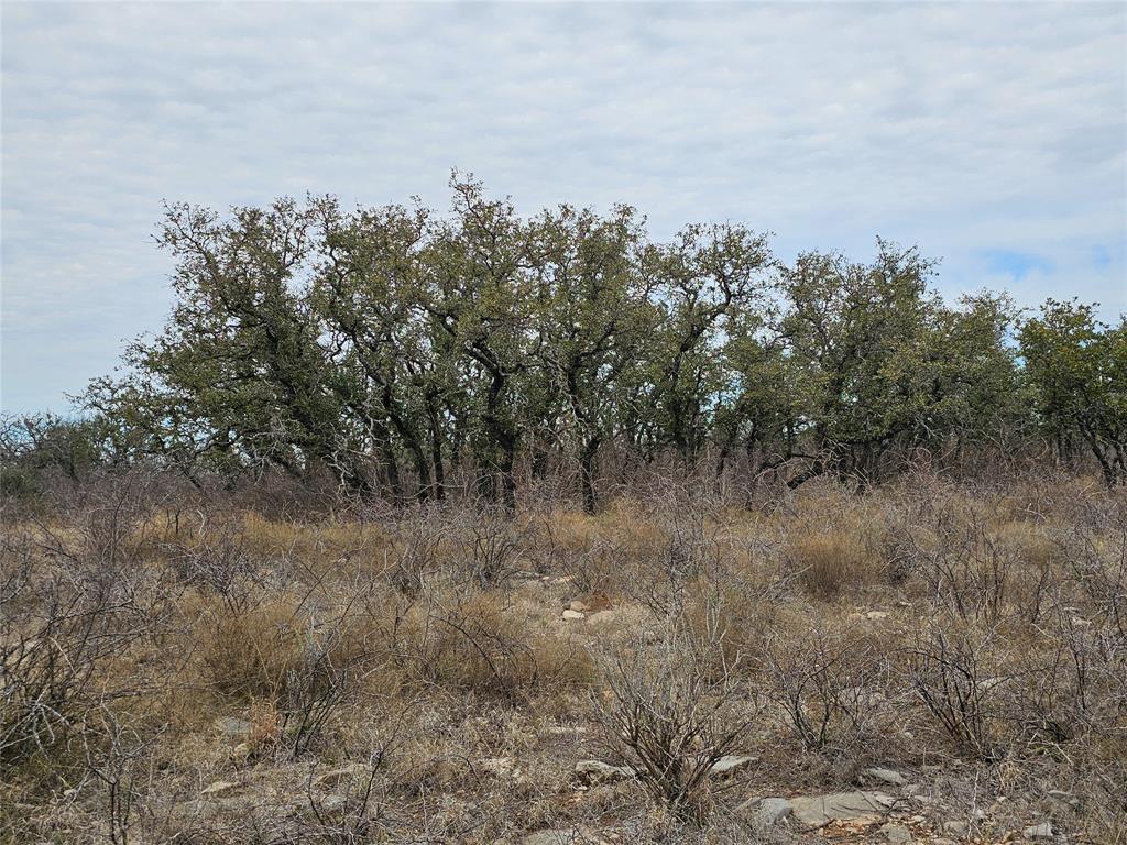 Panther Hill Estates - Land