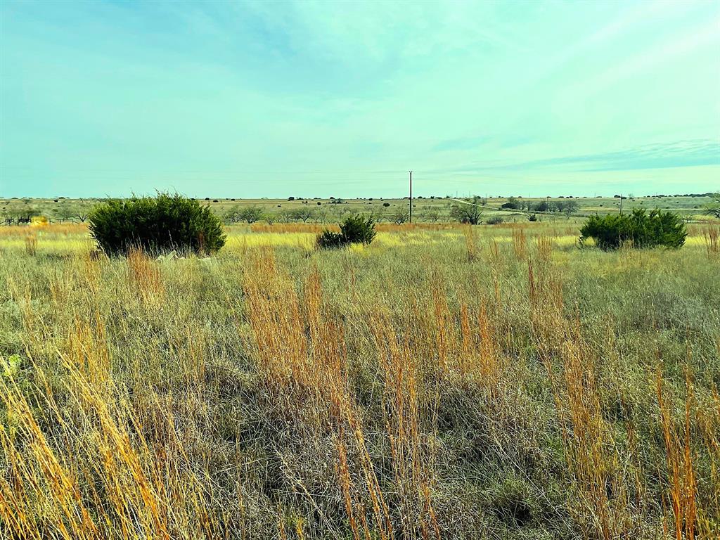 2245 County Road 619